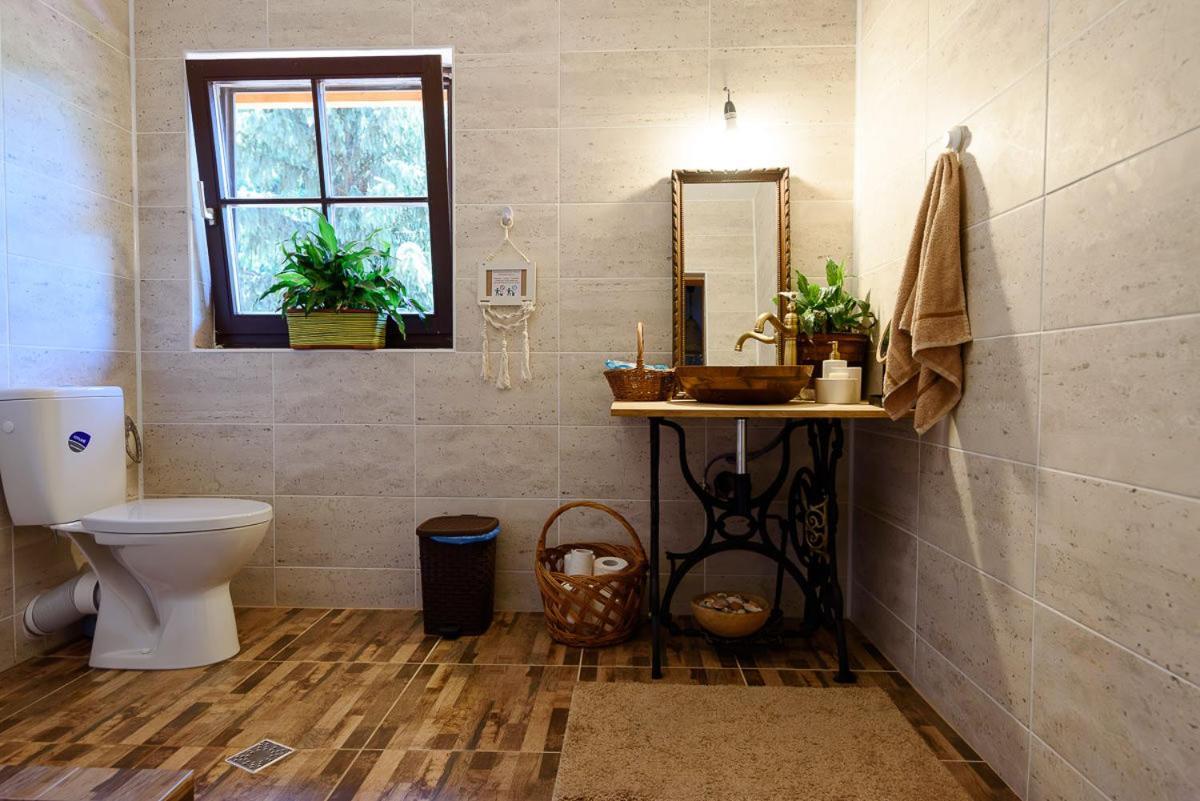 Susurul Apei Chalet Porumbacu de Sus Ngoại thất bức ảnh