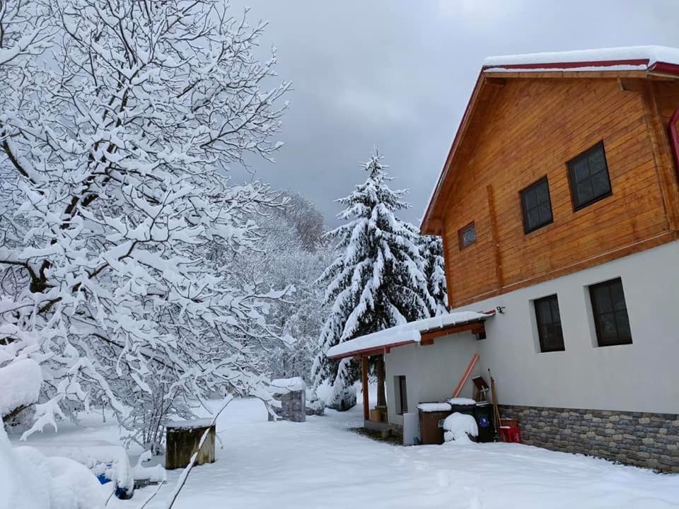 Susurul Apei Chalet Porumbacu de Sus Ngoại thất bức ảnh